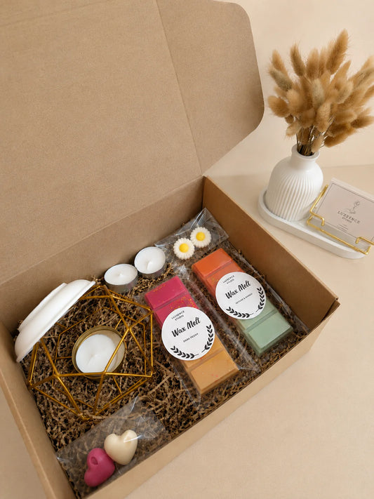 Discovery Box #1